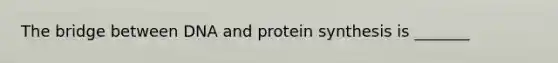 The bridge between DNA and protein synthesis is _______