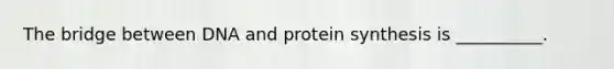 The bridge between DNA and protein synthesis is __________.