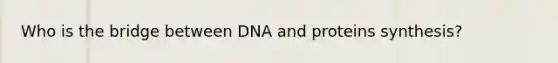 Who is the bridge between DNA and proteins synthesis?