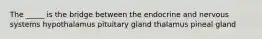 The _____ is the bridge between the endocrine and nervous systems hypothalamus pituitary gland thalamus pineal gland