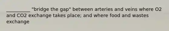 __________ "bridge the gap" between arteries and veins where O2 and CO2 exchange takes place; and where food and wastes exchange