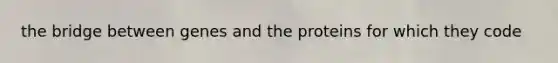 the bridge between genes and the proteins for which they code