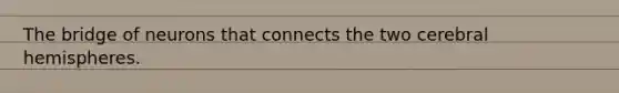 The bridge of neurons that connects the two cerebral hemispheres.