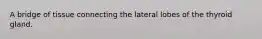 A bridge of tissue connecting the lateral lobes of the thyroid gland.