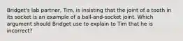 Bridget's lab partner, Tim, is insisting that the joint of a tooth in its socket is an example of a ball-and-socket joint. Which argument should Bridget use to explain to Tim that he is incorrect?