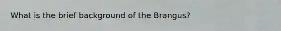 What is the brief background of the Brangus?