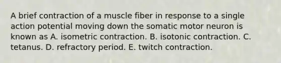 A brief contraction of a muscle fiber in response to a single action potential moving down the somatic motor neuron is known as A. isometric contraction. B. isotonic contraction. C. tetanus. D. refractory period. E. twitch contraction.