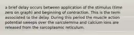 a brief delay occurs between application of the stimulus (time zero on graph) and beginning of contraction. This is the term associated to the delay. During this period the muscle action potential sweeps over the sarcolemma and calcium ions are released from the sarcoplasmic reticulum.