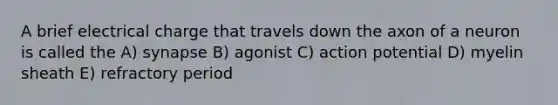 A brief electrical charge that travels down the axon of a neuron is called the A) synapse B) agonist C) action potential D) myelin sheath E) refractory period