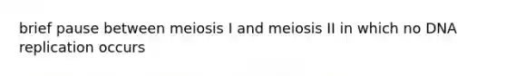 brief pause between meiosis I and meiosis II in which no DNA replication occurs