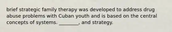 brief strategic family therapy was developed to address drug abuse problems with Cuban youth and is based on the central concepts of systems. ________, and strategy.