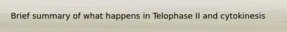 Brief summary of what happens in Telophase II and cytokinesis