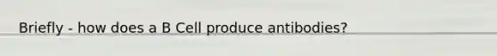 Briefly - how does a B Cell produce antibodies?