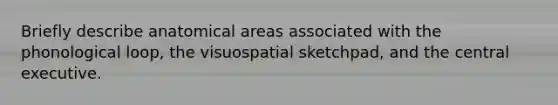 Briefly describe anatomical areas associated with the phonological loop, the visuospatial sketchpad, and the central executive.