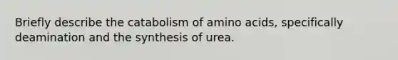 Briefly describe the catabolism of <a href='https://www.questionai.com/knowledge/k9gb720LCl-amino-acids' class='anchor-knowledge'>amino acids</a>, specifically deamination and the synthesis of urea.