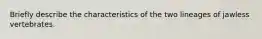 Briefly describe the characteristics of the two lineages of jawless vertebrates.