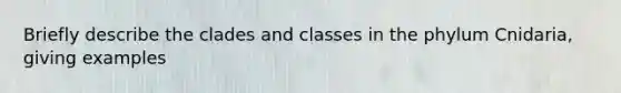 Briefly describe the clades and classes in the phylum Cnidaria, giving examples