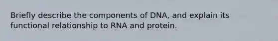 Briefly describe the components of DNA, and explain its functional relationship to RNA and protein.