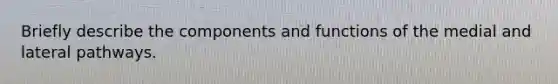 Briefly describe the components and functions of the medial and lateral pathways.