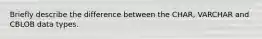 Briefly describe the difference between the CHAR, VARCHAR and CBLOB data types.