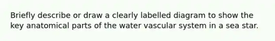 Briefly describe or draw a clearly labelled diagram to show the key anatomical parts of the water vascular system in a sea star.