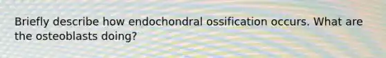 Briefly describe how endochondral ossification occurs. What are the osteoblasts doing?