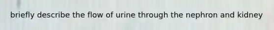 briefly describe the flow of urine through the nephron and kidney