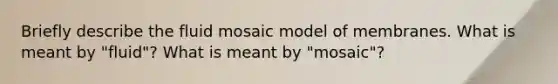 Briefly describe the fluid mosaic model of membranes. What is meant by "fluid"? What is meant by "mosaic"?