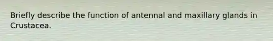 Briefly describe the function of antennal and maxillary glands in Crustacea.