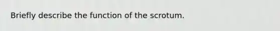 Briefly describe the function of the scrotum.