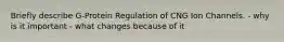 Briefly describe G-Protein Regulation of CNG Ion Channels. - why is it important - what changes because of it