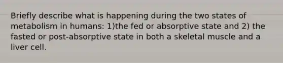 Briefly describe what is happening during the two states of metabolism in humans: 1)the fed or absorptive state and 2) the fasted or post-absorptive state in both a skeletal muscle and a liver cell.