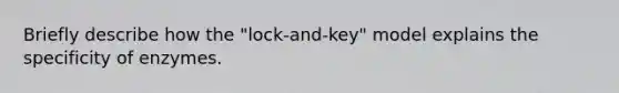 Briefly describe how the "lock-and-key" model explains the specificity of enzymes.