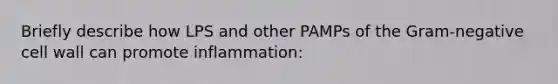 Briefly describe how LPS and other PAMPs of the Gram-negative cell wall can promote inflammation: