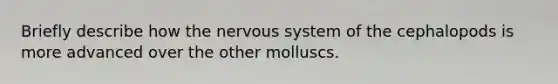 Briefly describe how the nervous system of the cephalopods is more advanced over the other molluscs.