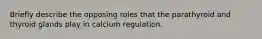 Briefly describe the opposing roles that the parathyroid and thyroid glands play in calcium regulation.