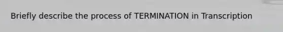 Briefly describe the process of TERMINATION in Transcription