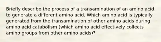 Briefly describe the process of a transamination of an amino acid to generate a different amino acid. Which amino acid is typically generated from the transamination of other amino acids during amino acid catabolism (which amino acid effectively collects amino groups from other amino acids)?