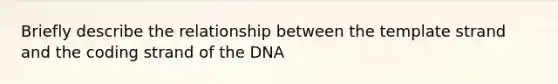 Briefly describe the relationship between the template strand and the coding strand of the DNA