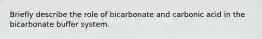 Briefly describe the role of bicarbonate and carbonic acid in the bicarbonate buffer system.