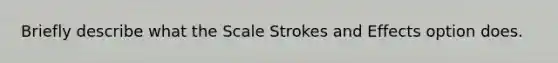 Briefly describe what the Scale Strokes and Effects option does.