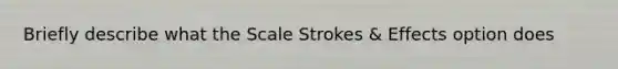 Briefly describe what the Scale Strokes & Effects option does