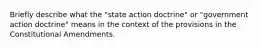 Briefly describe what the "state action doctrine" or "government action doctrine" means in the context of the provisions in the Constitutional Amendments.