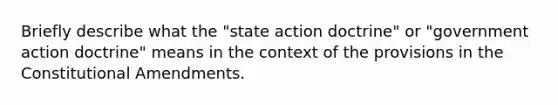 Briefly describe what the "state action doctrine" or "government action doctrine" means in the context of the provisions in the Constitutional Amendments.