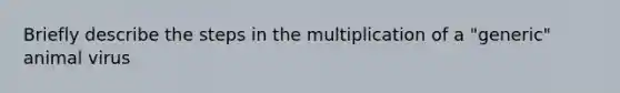 Briefly describe the steps in the multiplication of a "generic" animal virus