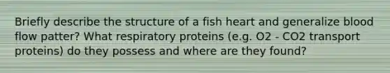 Briefly describe the structure of a fish heart and generalize blood flow patter? What respiratory proteins (e.g. O2 - CO2 transport proteins) do they possess and where are they found?