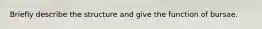 Briefly describe the structure and give the function of bursae.