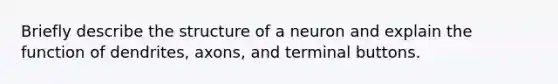 Briefly describe the structure of a neuron and explain the function of dendrites, axons, and terminal buttons.