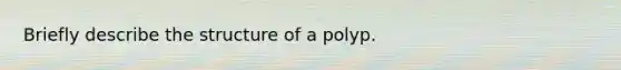 Briefly describe the structure of a polyp.