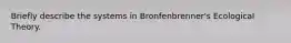 Briefly describe the systems in Bronfenbrenner's Ecological Theory.